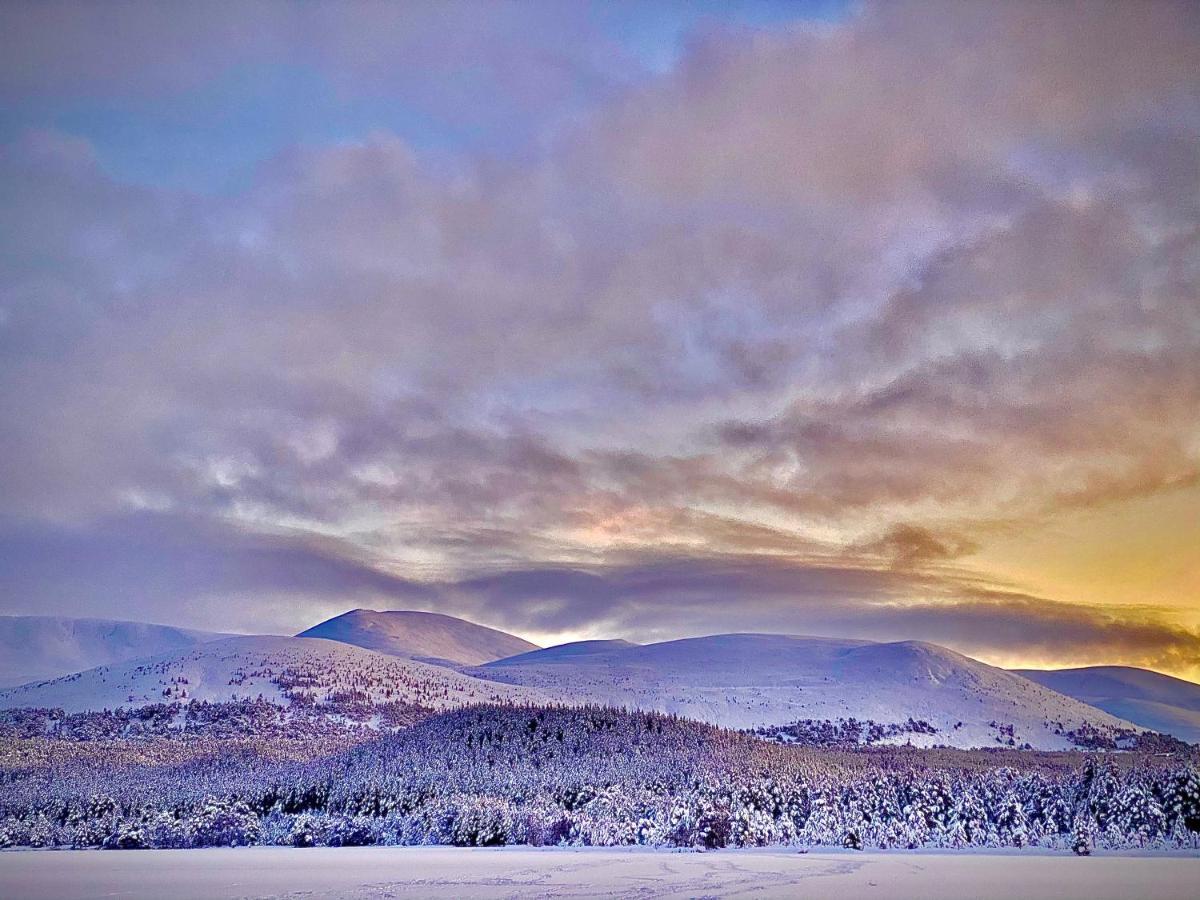 Ravenscraig Guest House Aviemore Buitenkant foto