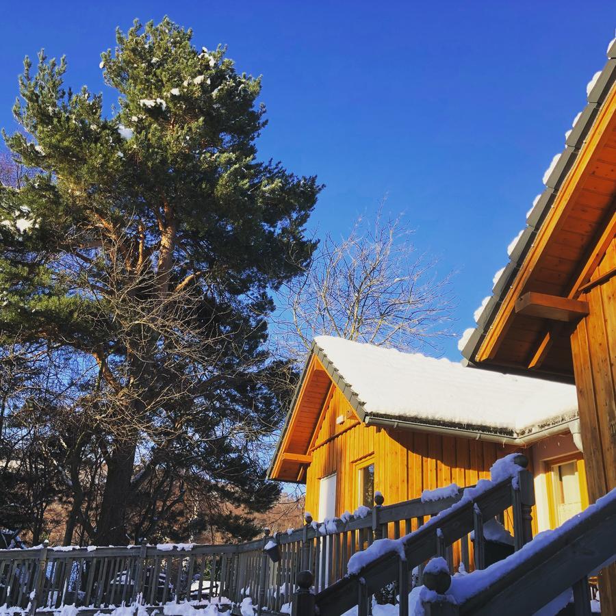 Ravenscraig Guest House Aviemore Buitenkant foto