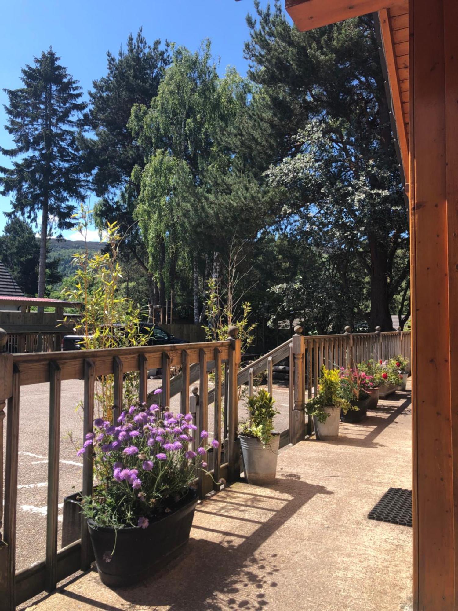Ravenscraig Guest House Aviemore Buitenkant foto