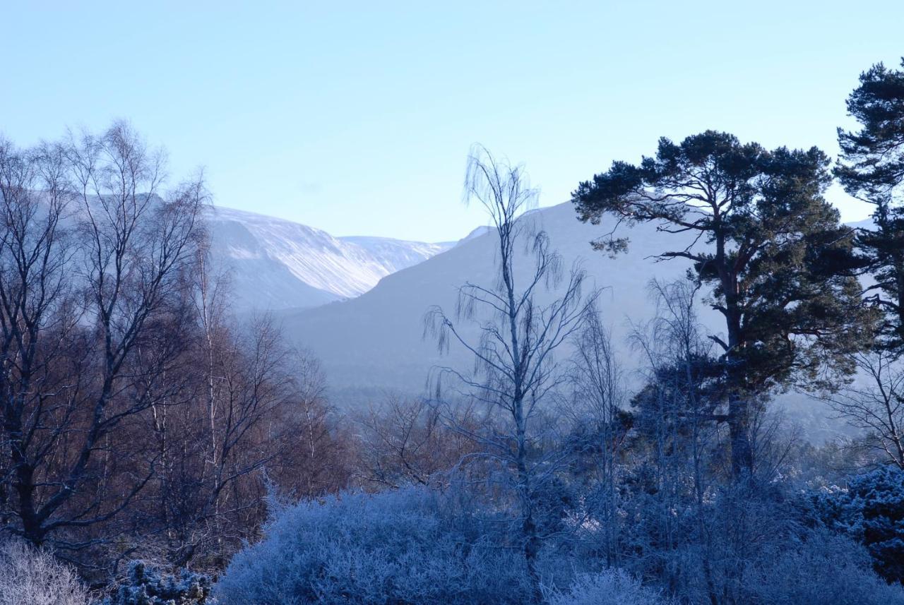 Ravenscraig Guest House Aviemore Buitenkant foto