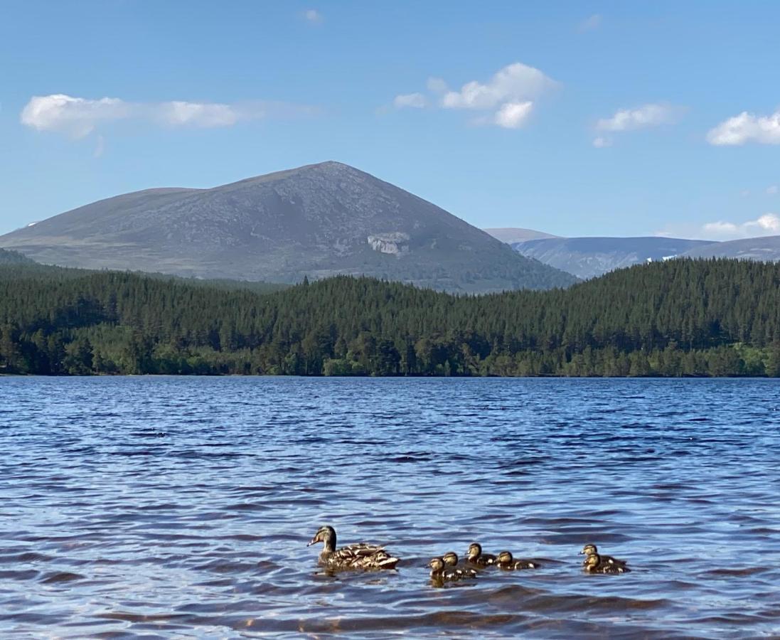 Ravenscraig Guest House Aviemore Buitenkant foto